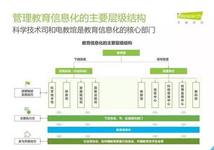 2019年中國教育信息化行業(yè)報告 信息技術(shù)咨詢服務(wù)