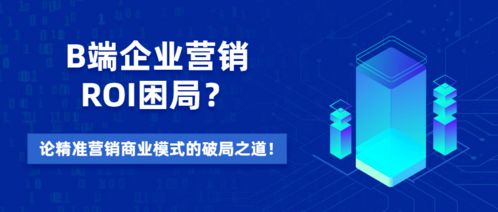 B端企業營銷ROI困局與破局 精準營銷模式下的信息技術咨詢服務價值探析